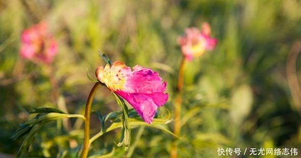 雍正|一个家庭在落败之前,家里会出现这些“特征”,早知道早好