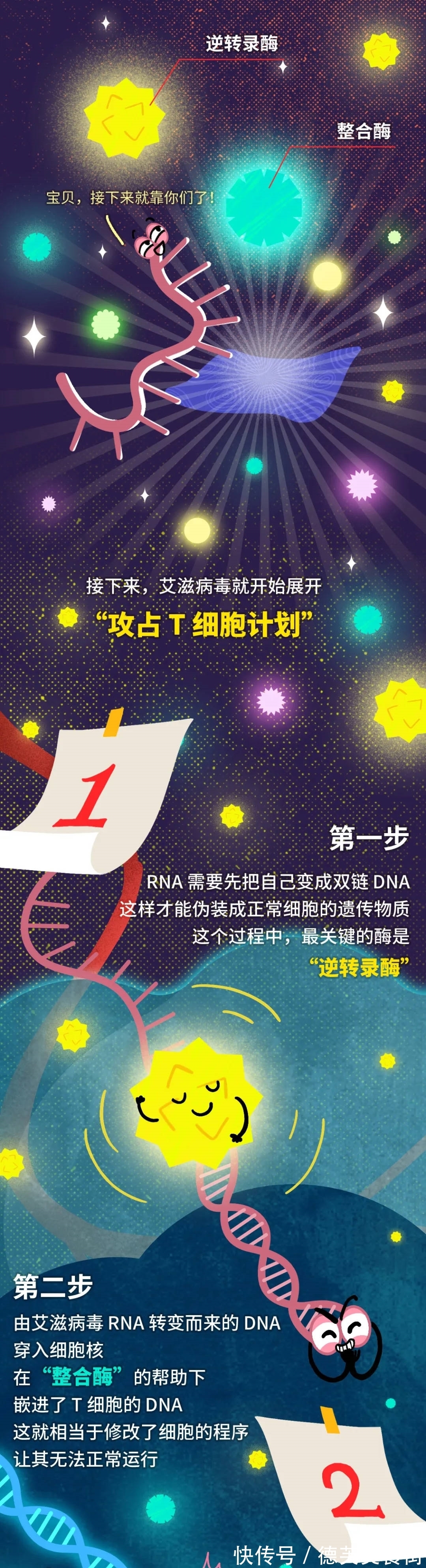 艾滋病毒|艾滋病毒入侵后，其实你还有72小时自救