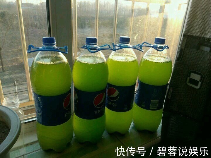 旺盛|三伏天养花，6个“坏毛病”戒掉，植物安全度夏，越长越旺盛