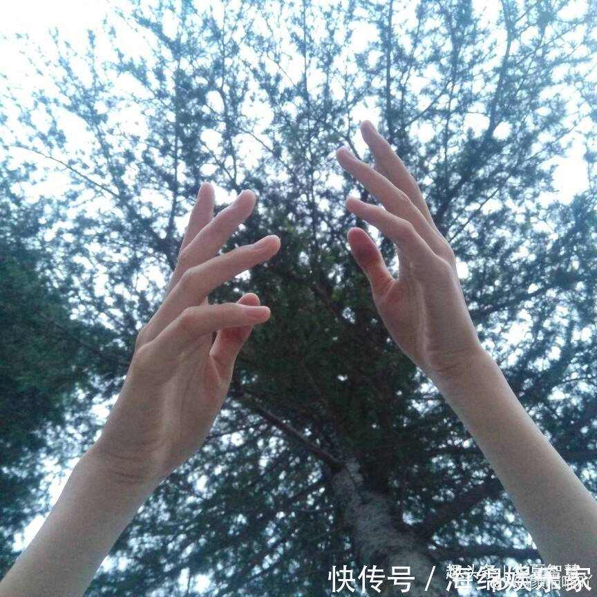 分寸#有一种清闲,就是不多管别人的闲事,为人处世,大小分寸掌握好