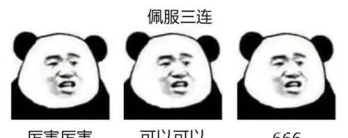 盘点|盘点史上身怀绝技的老师们