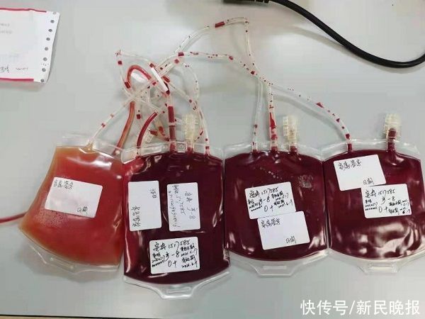 生育|“熊猫血”妈妈生育二胎有顾虑？市六医院为她全周期保驾护航