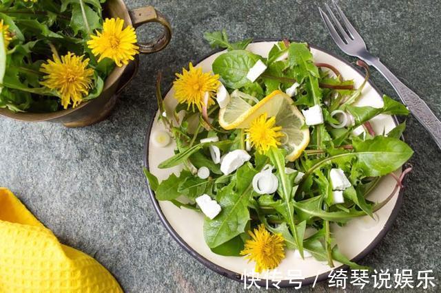 禁忌|用蒲公英泡水“养生”，祛湿热、治胃痛，要记住3大禁忌，莫喝错