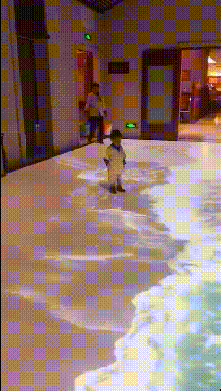 |搞笑GIF:对不起了兄弟 我真不是故意的