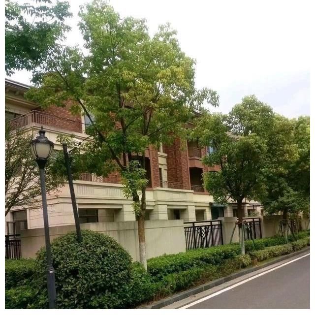 炒房|我国的房价泡沫大吗？真不大