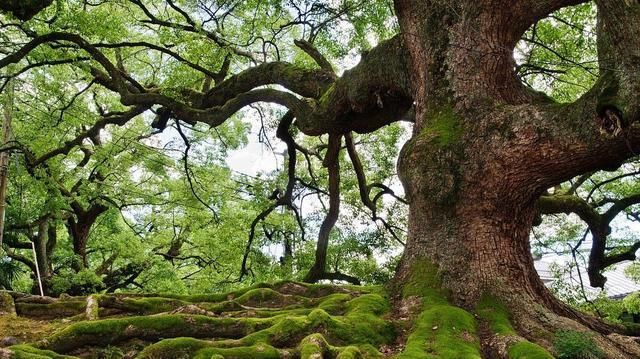 建筑|江西这座千年古村，被誉为“小南京”，八卦建筑布局更显神秘