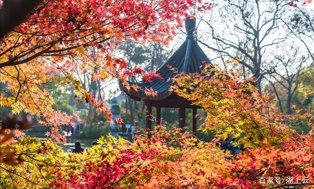 湖山访秋@七绝湖山访秋（新韵）两首