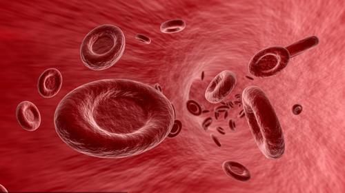 含糖量|血糖偏高能吃西红柿吗？医生建议：若想降血糖，少吃这2种食物