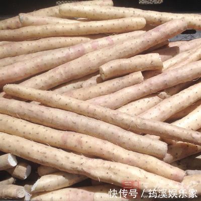 糖尿病吃什么蔬菜健康?以下15种蔬菜健康营养,适当多吃