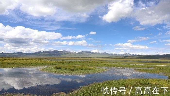 花湖|有一个美丽的地方叫若尔盖花湖