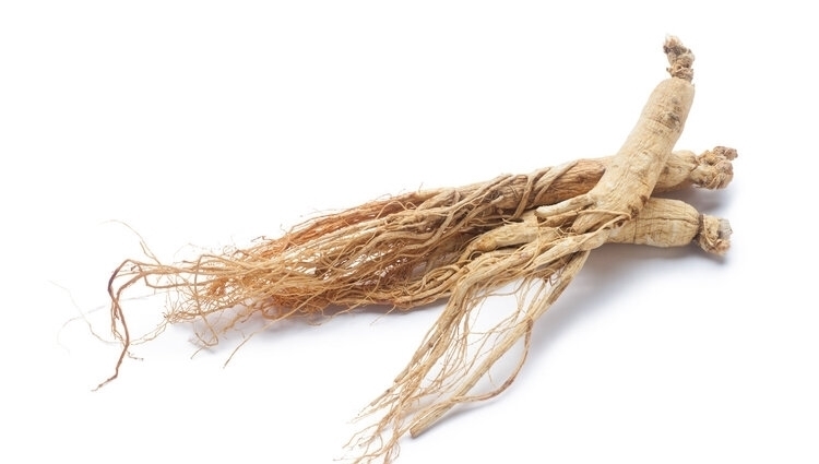 花旗参茶多少钱一盒