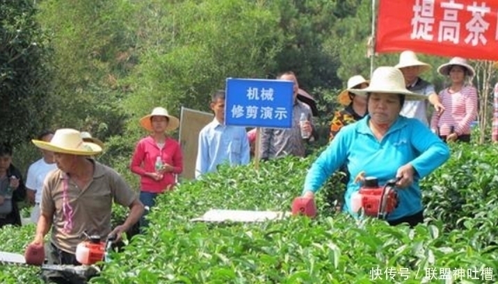 非卖品$库存几十万吨,曾一斤上万元,如今为何“连买带送”都没人要?