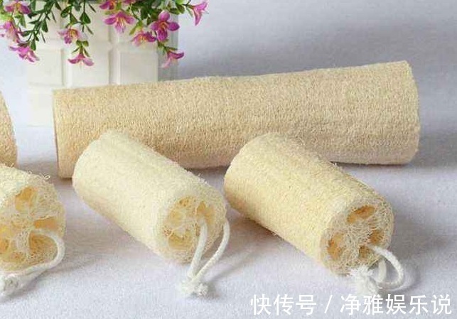 农村|农村常用的“洗碗布”,功效却堪比冬虫夏草,被中医视为珍宝