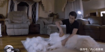 白狗为什么不能养3年