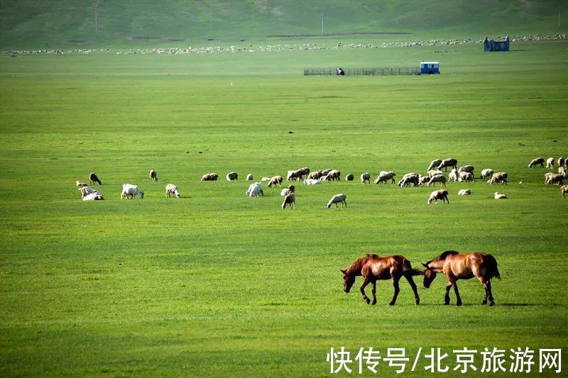 腾格尔|免门票！森林公园里藏着个“小内蒙古”，还免费停车~