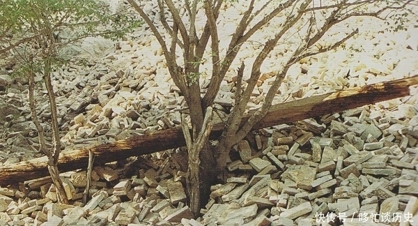 盗墓贼百斤炸药炸古塔啥也没捞着,考古家赶来却在废墟捡漏无价宝