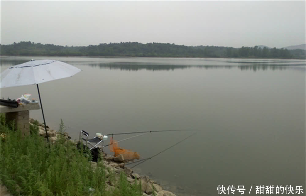 仲春野钓大鲫鱼,这三种天气鱼情最好,随便钓,大鲫鱼也能连竿上