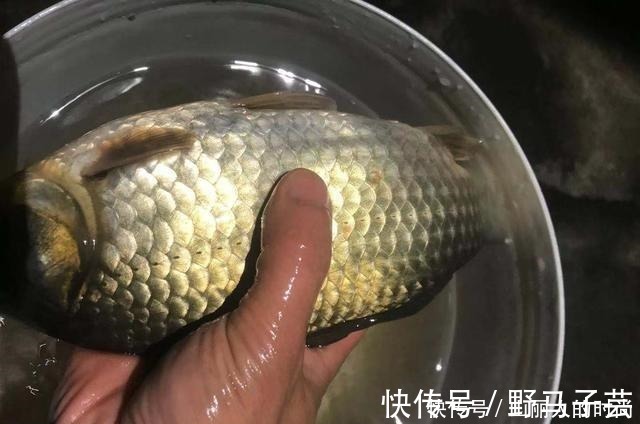 饵料|玉米这样用，让钓鱼效果翻倍，鲫鱼鲤鱼草鱼鳊鱼都爱吃，别错过