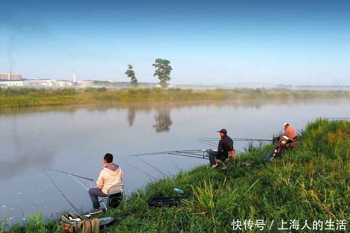 鱼饵|没想到鸡蛋也能用来做鱼饵,而且钓鱼效果那么好