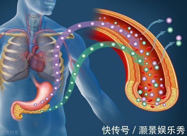 空腹|空腹血糖和餐后血糖，哪个更重要？教你4招，血糖达标又稳定