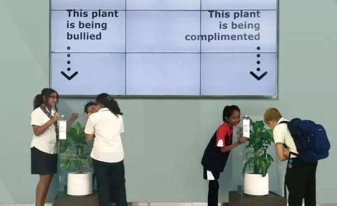 表格|废掉一个孩子,就不停说他、说他、说他……