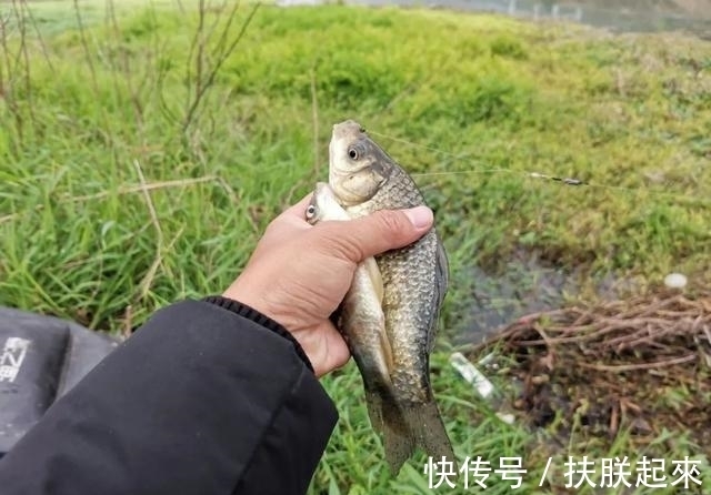 雾化|野钓不打窝的2种高效钓法,学会后上鱼总是快人一步