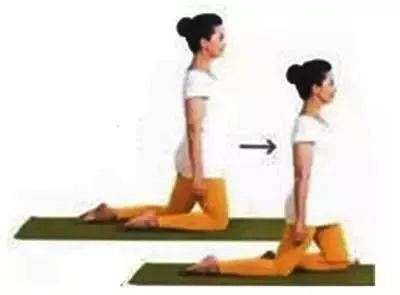 槟榔|“养好脾百病不生”八大健脾方法,健脾补气,让你精力充沛