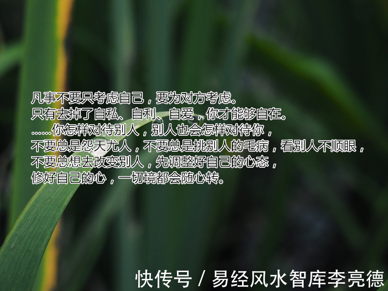 智慧&南怀瑾大师智慧:人生至高境界,全在这十句话里,读完豁然开朗 !