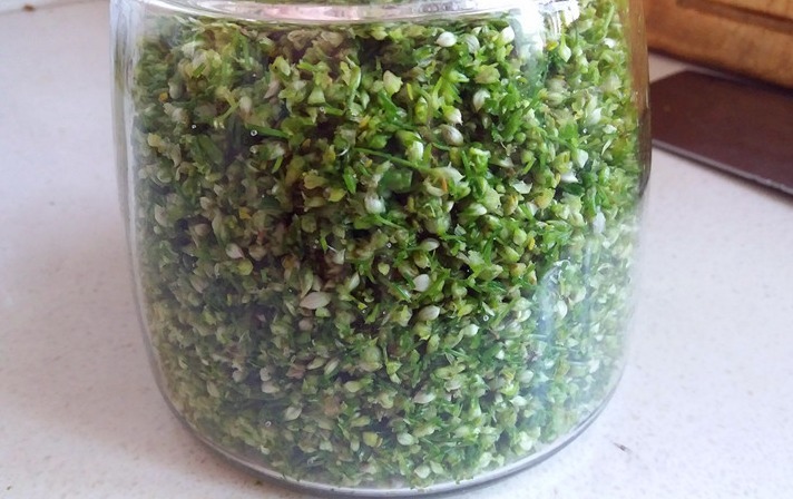 自制韭花酱,只放盐是外行,多加1样,口感好味道香,久放不会坏