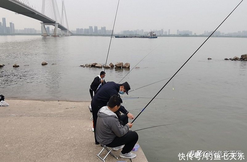 乱象|休闲钓鱼规范难？管理部门表态：明确违规垂钓的惩处方式