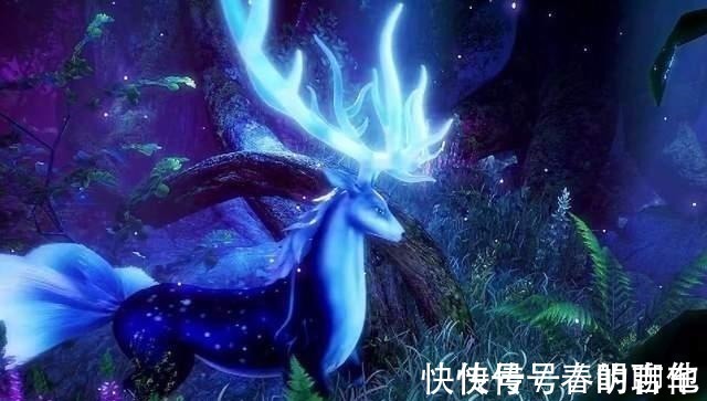 绝世唐门|斗罗大陆皇级武魂一览!最强植物系三哥,最强动物系不是比比东