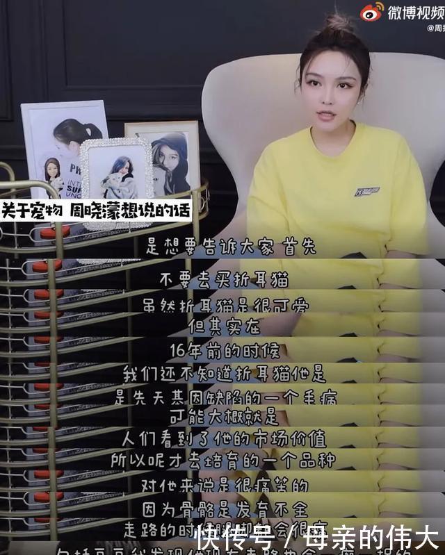 折耳猫尾巴硬一定会发病