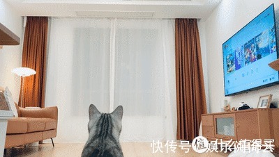 电动窗帘|家装好物推荐:家里要不要安装电动窗帘,分享一下电动窗帘的使用经验