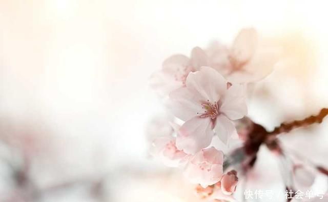 千古名言$陆游最经典的一首词,每一句都是千古名言,美得惊艳无人能出其右