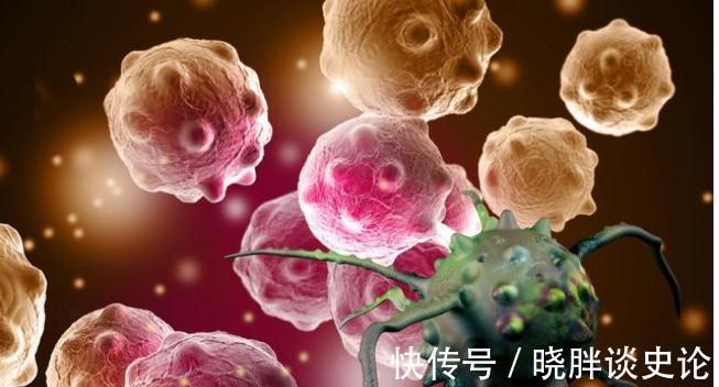 动物蛋白|得了肿瘤怎么办?营养师告诉你,这3种食物才不能多吃