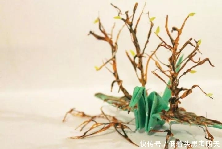 重样|每天折一只千纸鹤,他坚持了1000天不重样,女友被感动到梨花带雨