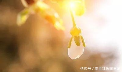 做人最高的境界,离不开这16个字