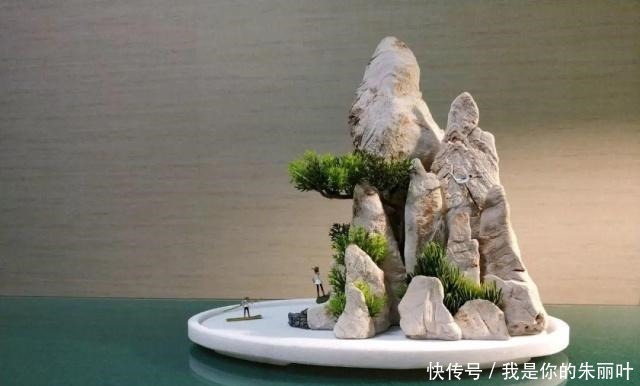 养花|大爷用石头、盘子来养花,布局造景,这就是山水盆景的魅力!