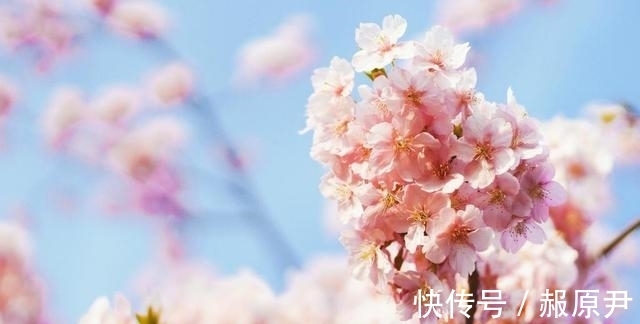 生肖兔|下半年，桃花旺，事业旺，喜事连连的3大生肖，余生幸福甜蜜