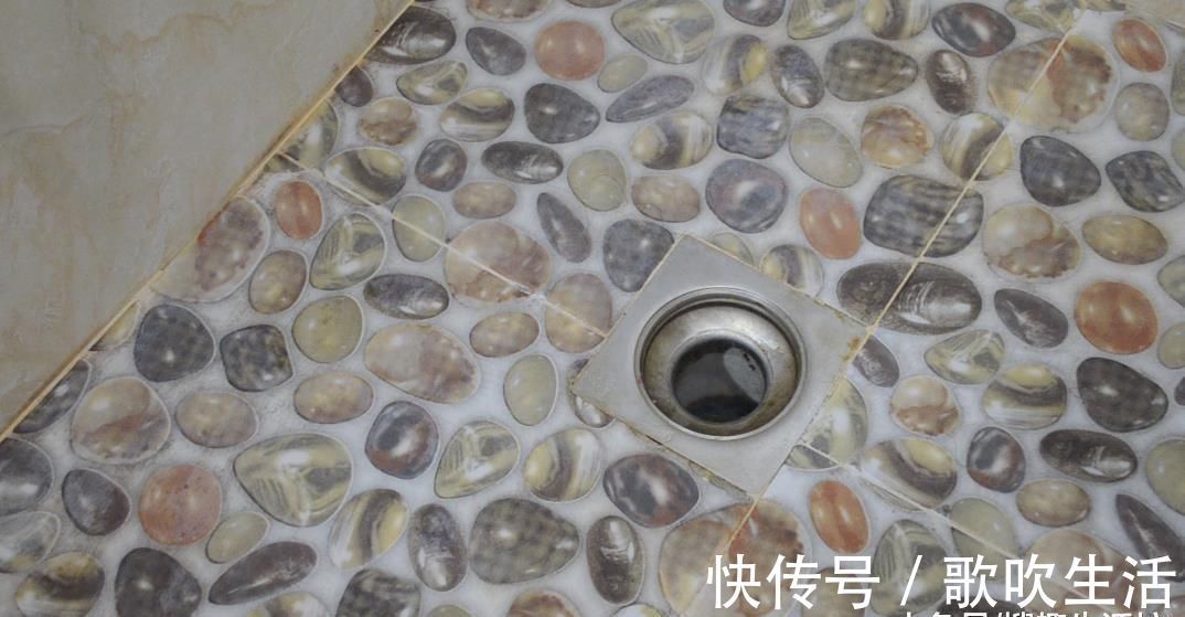 广藿香油|卫生间里放一瓶藿香正气水, 作用太棒了, 解决了很多家庭的烦恼