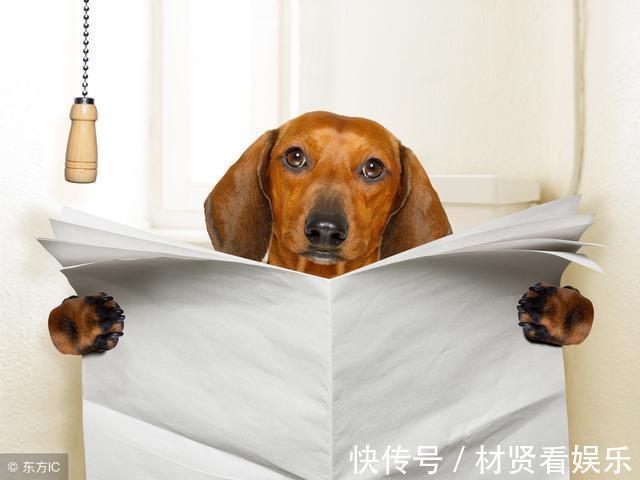 健康|坏习惯可能要命,养生黑名单减少寿命的十个坏习惯