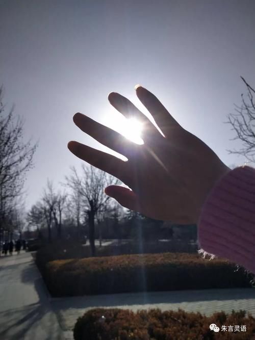  昨晚年夜饭，你啥风格？