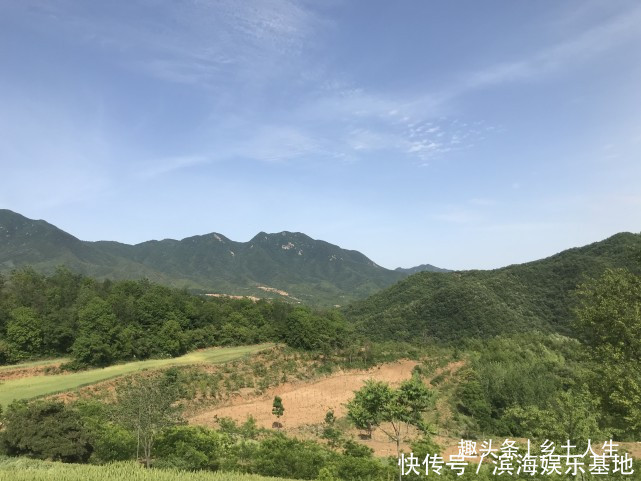 惊蛰将至,老话说:寡年无春,惊蛰无雷,遍地