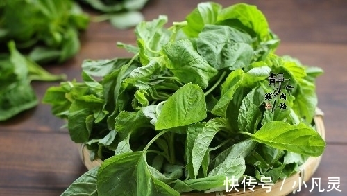 菜市场|此菜夏天才有,用来包饺子最香,鲜美又补钙,但很少有人吃过