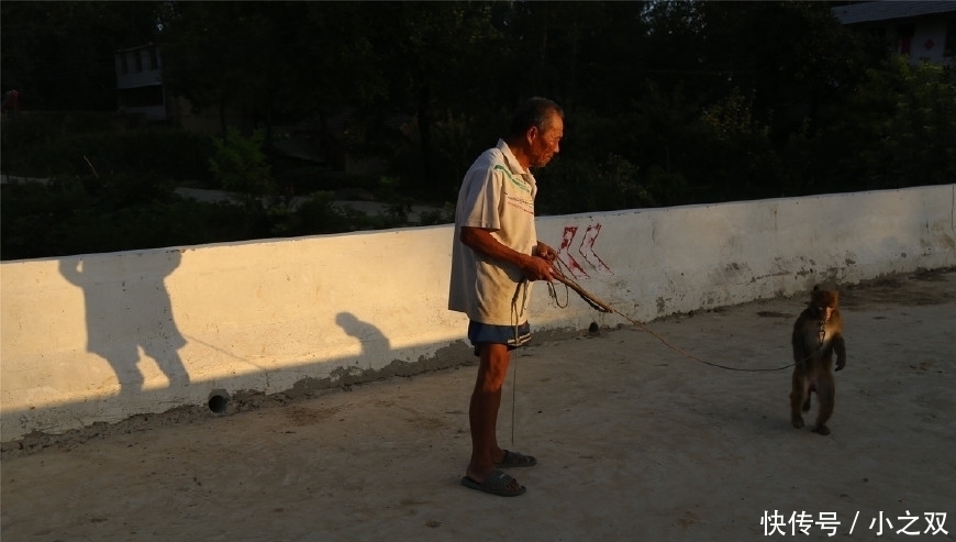 杂技|猴在我在“杂技之乡”的7旬训猴老汉与猴同吃住终生未娶