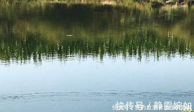 新手钓友牢记钓鱼7忌，虽然不能助你多钓鱼，但也能不让你放炮