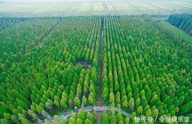 美国航天局拍下中国奇迹,人人都为之称道,英媒却说这是在搞破坏