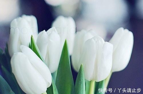  穿透|一段很现实的话，句句穿透人心！