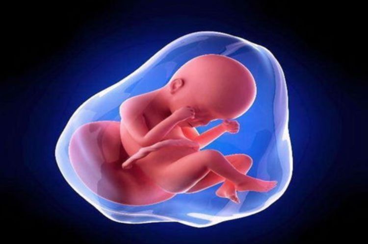 怀孕生娃|2岁娃回忆胎中生活,“喝水吐水很无聊”,宫内记忆真的存在?