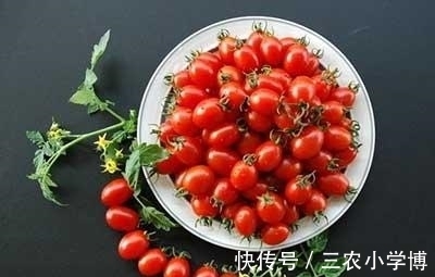 膳食纤维|吃圣女果可以减肥吗
